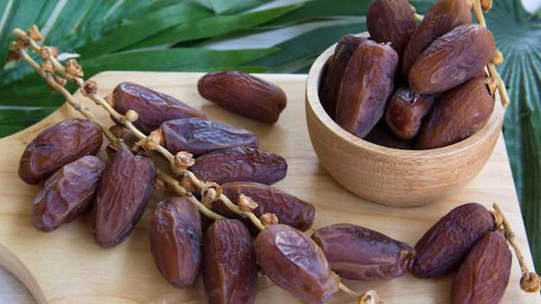 خرید و فروش خرما پیارم بدون هسته با شرایط فوق العاده